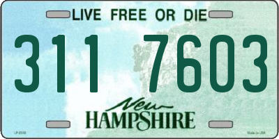 NH license plate 3117603