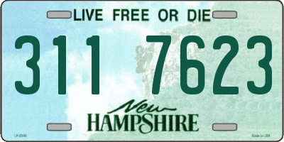 NH license plate 3117623