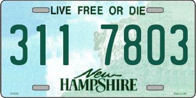 NH license plate 3117803