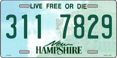 NH license plate 3117829