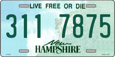 NH license plate 3117875