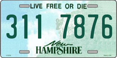 NH license plate 3117876