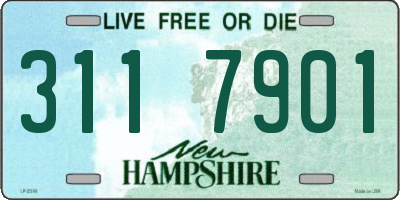 NH license plate 3117901