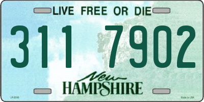 NH license plate 3117902