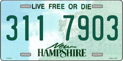 NH license plate 3117903