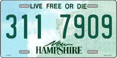 NH license plate 3117909