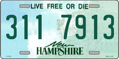 NH license plate 3117913