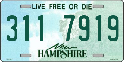 NH license plate 3117919