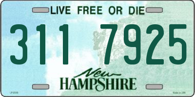 NH license plate 3117925