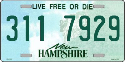 NH license plate 3117929