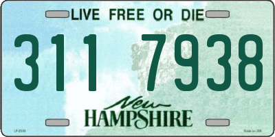 NH license plate 3117938