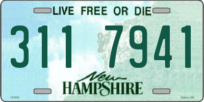 NH license plate 3117941