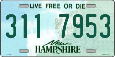 NH license plate 3117953