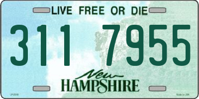 NH license plate 3117955