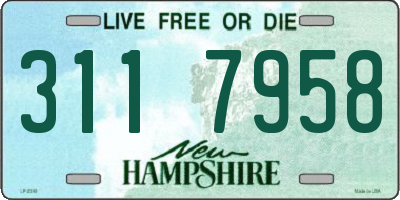 NH license plate 3117958
