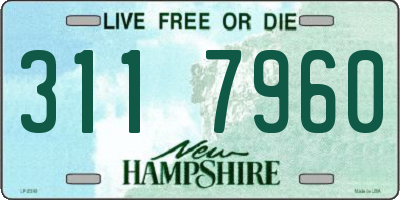 NH license plate 3117960