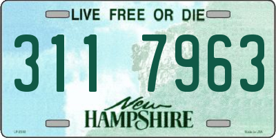 NH license plate 3117963