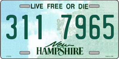 NH license plate 3117965