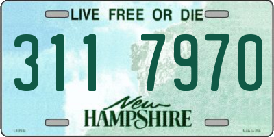 NH license plate 3117970