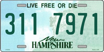 NH license plate 3117971