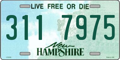 NH license plate 3117975