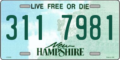 NH license plate 3117981