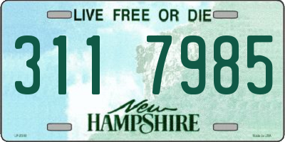 NH license plate 3117985
