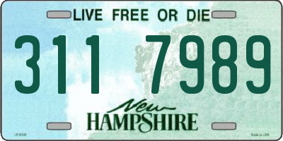 NH license plate 3117989