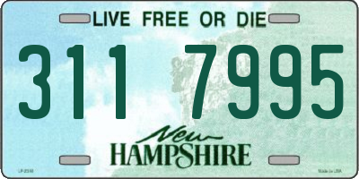 NH license plate 3117995
