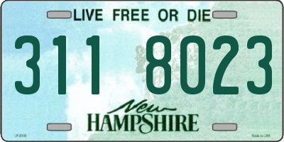 NH license plate 3118023