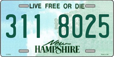 NH license plate 3118025
