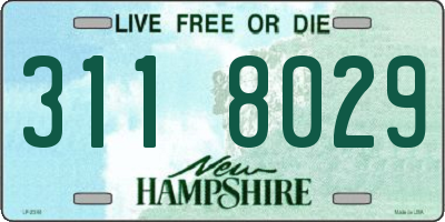 NH license plate 3118029