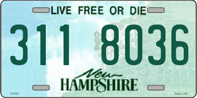 NH license plate 3118036