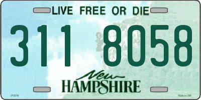 NH license plate 3118058