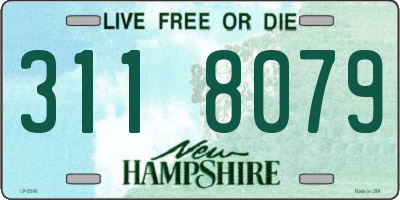 NH license plate 3118079