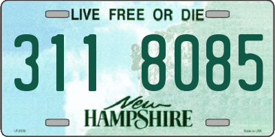 NH license plate 3118085