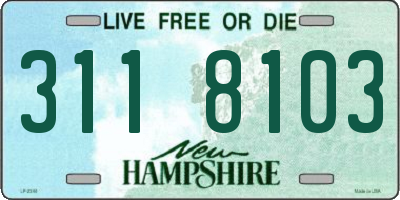 NH license plate 3118103