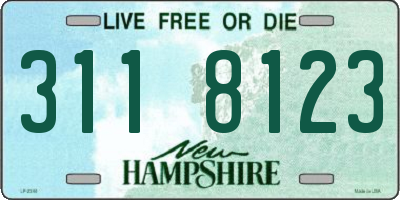 NH license plate 3118123