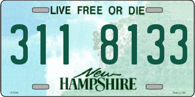 NH license plate 3118133