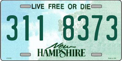 NH license plate 3118373