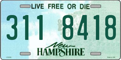NH license plate 3118418
