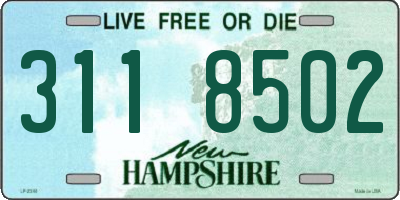 NH license plate 3118502