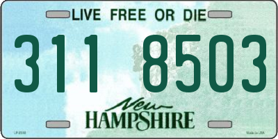 NH license plate 3118503