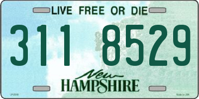 NH license plate 3118529