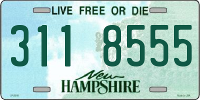 NH license plate 3118555