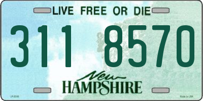 NH license plate 3118570