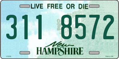 NH license plate 3118572