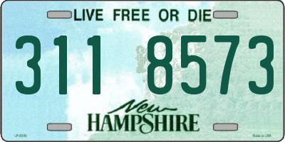 NH license plate 3118573