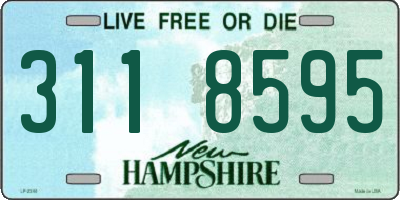 NH license plate 3118595