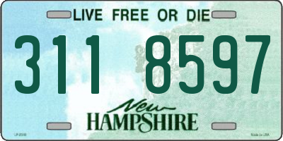 NH license plate 3118597